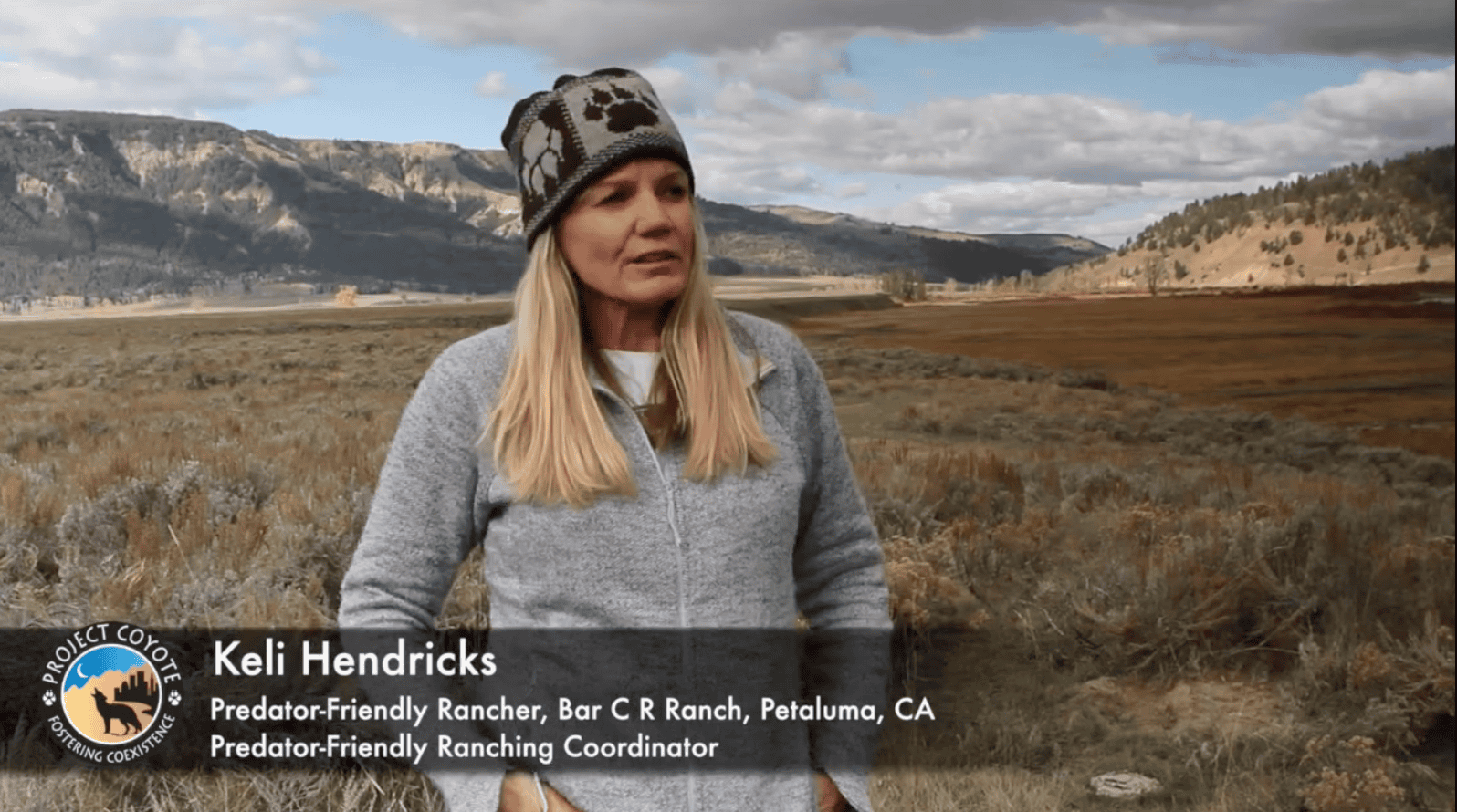 A Predator Friendly Ranching Perspective On Peaceful Livestock and Wildlife Coexistence